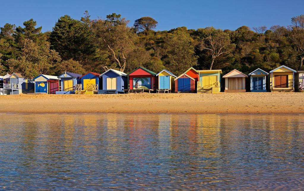 Bayplay Beach Cottage - Pet Friendly Queenscliff Oda fotoğraf